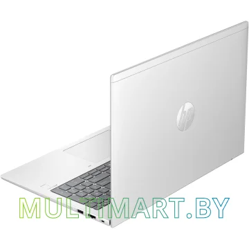 Ноутбук HP ProBook 460 G11 (A23BCEA) картинка 4
